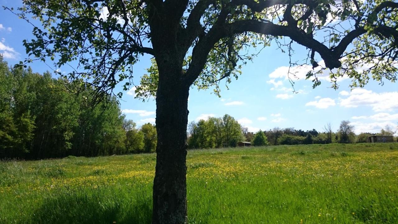 Domaine De La Grangee Villa La Chapelle-Blanche-Saint-Martin Bagian luar foto